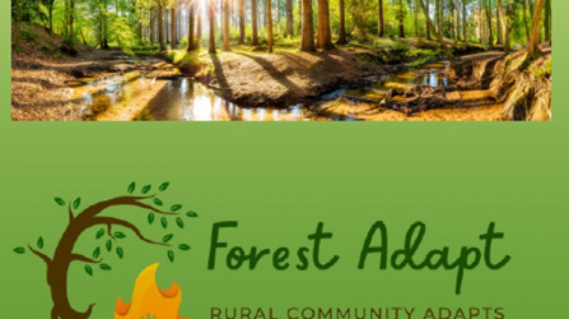 Четвърти официален бюлетин на проекта “Селска общност се адаптира към естествените горски пожари!“